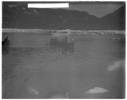 Image of People in oomiak [umiak], another approaches